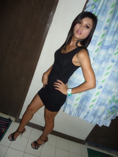 Stunning tattooed amateur Noi reveals her shemale cock in the bathroom