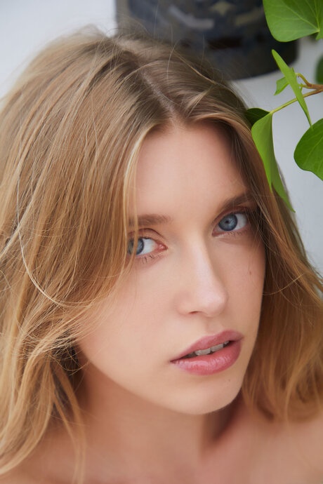 Met Art performed by Freya Mayer Porn Photos