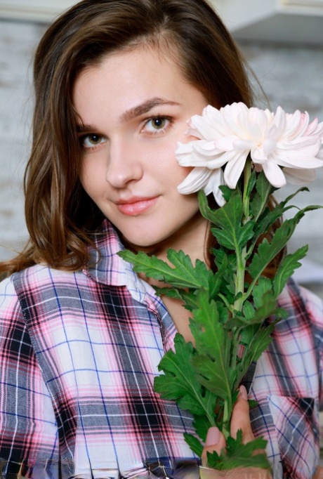 Girl next door type Sofia Vera casually bares her naked beauty in the kitchen